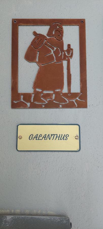 דירות אאוסטה Galanthus מראה חיצוני תמונה